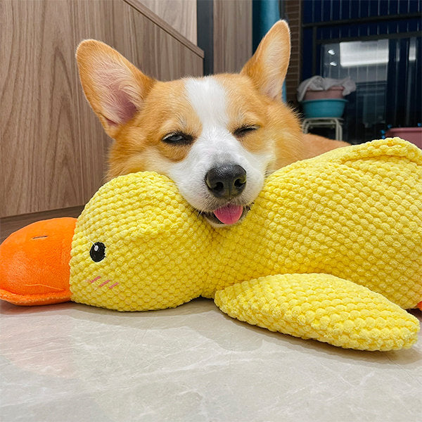 Plüschente Quietsch Hundespielzeug - Samt Kauspielzeug 28cm