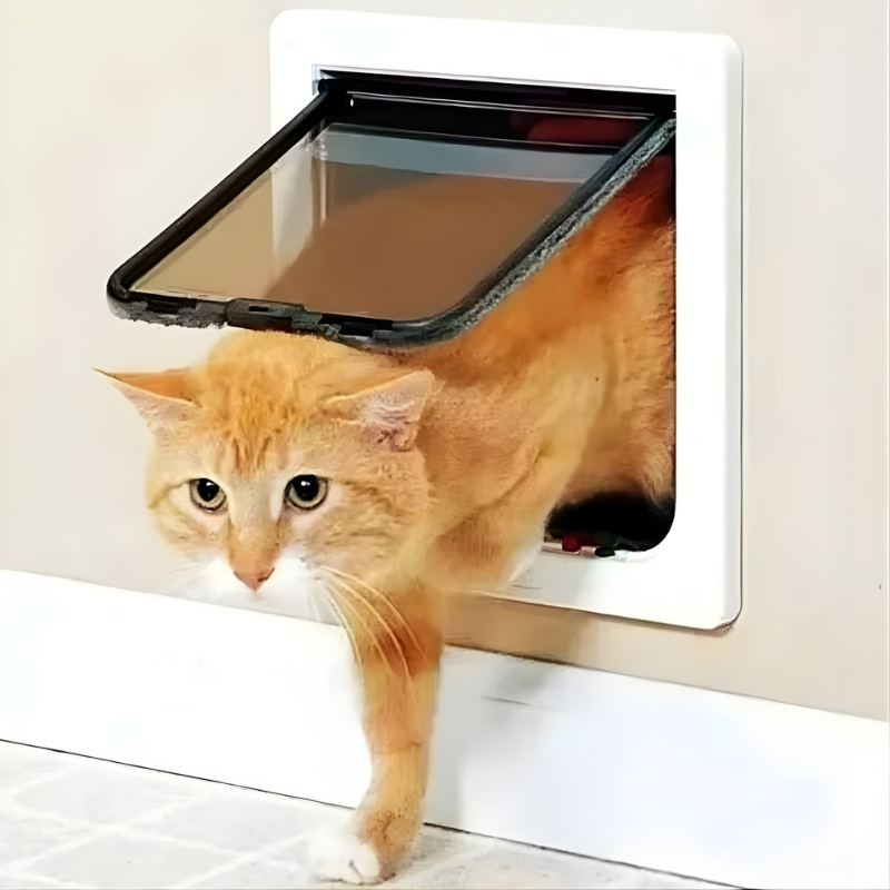 Square cat flap with 4-way lock - pet door made of ABS